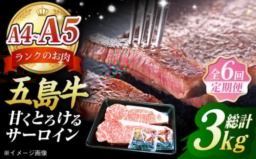 y6ցzܓ T[CXe[L500gi250g×2j ܓs/̃}qT[PCV020]茧ܓs240000