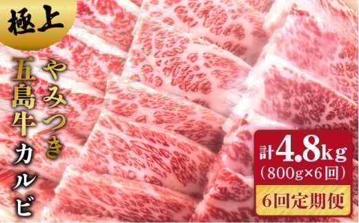 y6ցzܓ Jr800g ܓs/̃}qT[PCV024]茧ܓs288000