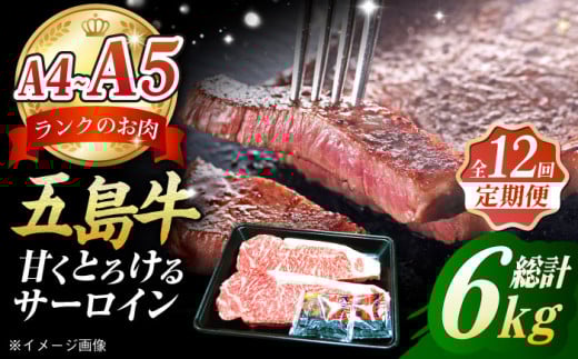 y12ցzܓ T[CXe[L500gi250g×2j ܓs/̃}qT[PCV029]茧ܓs480000