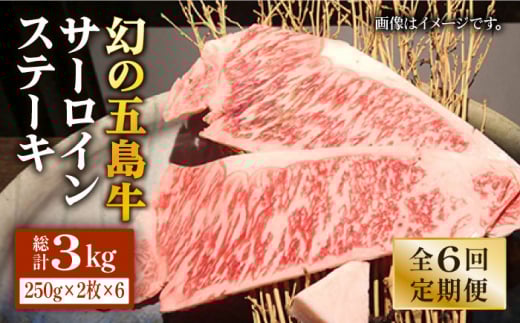 y6ցzܓ T[CXe[L500gi250g×2j ܓs/jN[PBF016] T[C Xe[L  W[V[  ܓ Y茧ܓs291000