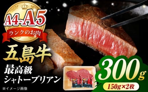 ܓ Vg[uA300gi150g×2j ܓs/̃}qT[PCV038]Vg[uA Ɓ[Ԃ肠 Vg[ Ɓ[A4 A5  q tB w茧ܓs48000