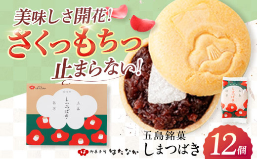 ւ̉ԃ`[t̃TNTNŒ ܂΂ 12 Œ ܓs/όr͂Ȃ [PAX041] aَq  Ȃ XC[c Mtg 茧ܓs9000َqEXC[c\Er㻁E啟