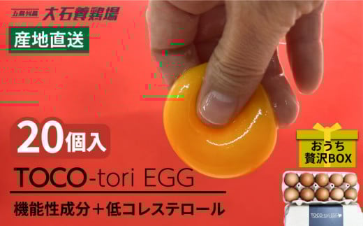 yg߂IuhzTOCO-tori EGG ґ{bNX  20  ܂ ܓs / ܓ񓇑Η{{ [PFQ002] ʎq ^}S {  ܓ񓇒茧ܓs87000Ei
