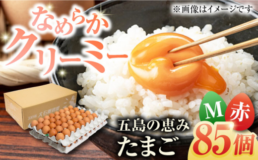 yzܓ̌b݂܂ MTCY 85 /  ԋʎq ܓs / ܓ񓇑Η{{ [PFQ004] ʎq ^}S {  ܓ񓇒茧ܓs14000Eii{AG{j