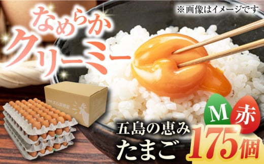 yzܓ̌b݂܂ MTCY 175 /  ԋʎq ܓs / ܓ񓇑Η{{ [PFQ006] ʎq ^}S {  ܓ񓇒茧ܓs24000Eii{AG{j