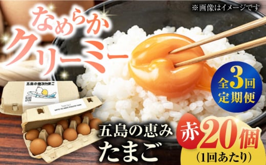 yS3ցzyMtgBOXzܓ̌b݂܂ M`LTCY 20 /  ԋʎq ܓs / ܓ񓇑Η{{ [PFQ011] ʎq ^}S {  ܓ񓇒茧ܓs26000Eii{AG