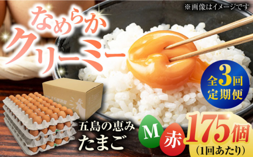 yS3ցzyzܓ̌b݂܂ MTCY 175 /  ԋʎq ܓs / ܓ񓇑Η{{ [PFQ020] ʎq ^}S {  ܓ񓇒茧ܓs72000Eii{AG{