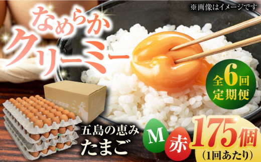 yS6ցzyzܓ̌b݂܂ MTCY 175 /  ԋʎq ܓs / ܓ񓇑Η{{ [PFQ021] ʎq ^}S {  ܓ񓇒茧ܓs144000Eii{AG{