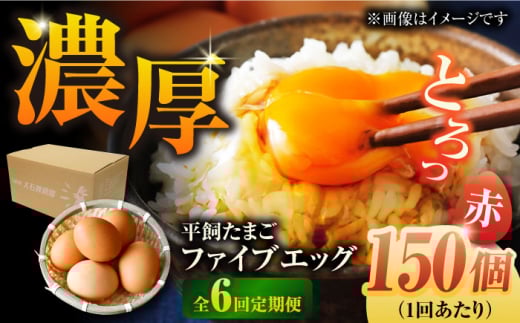 yS6ցzyz܂ t@CuGbO M`LTCY 150?/ 5EGG  ԋʎqܓs / ܓ񓇑Η{{ [PFQ033] ʎq ^}S {  ܓ񓇒茧ܓs324000Eii