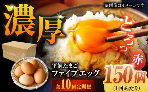 yS10ցzyz܂ t@CuGbO M`LTCY 150?/ 5EGG  ԋʎqܓs / ܓ񓇑Η{{ [PFQ034] ʎq ^}S {  ܓ񓇒茧ܓs540000Eii