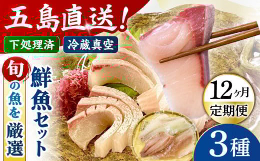 y12ցzy①zyρzN{bNX3 ܓs/N[PEP014]Vd  N ① ^pbN VN ς CN hg Zbg茧ܓs288000ECYN