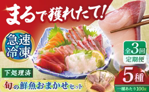 y3ցzyρzⓀN5 ܓs / N[PEP019]茧ܓs60000ECYN