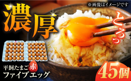 yz܂ t@CuGbO M`LTCY 45?/ 5EGG  ԋʎq ܓs / ܓ񓇑Η{{ [PFQ036] ʎq ^}S {  ܓ񓇒茧ܓs22000Eii{AG{j