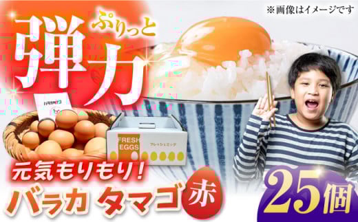 yzoJ^}S 25 M`LTCY  ʎq ܂ Y ܓs / ܓ񓇑Η{{ [PFQ052] ʎq ^}S {  ܓ񓇒茧ܓs6000Eii{AG{j