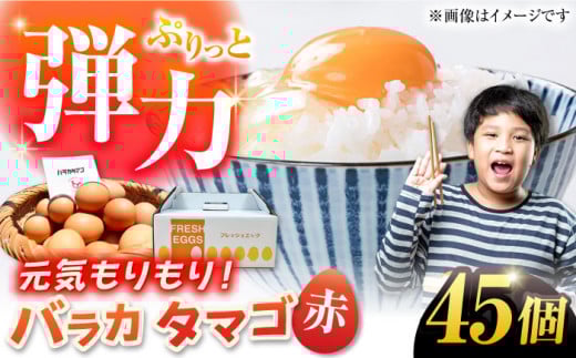 yzoJ^}S 45 M`LTCY  ʎq ܂ Y ܓs / ܓ񓇑Η{{ [PFQ053] ʎq ^}S {  ܓ񓇒茧ܓs9000Eii{AG{j