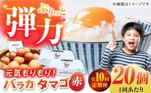 yS10ցzyMtgBOXzoJ^}S 20 M`LTCY  ʎq Y ܓs / ܓ񓇑Η{{ [PFQ056] ʎq ^}S {  ܓ񓇒茧ܓs60000Eii{AG{