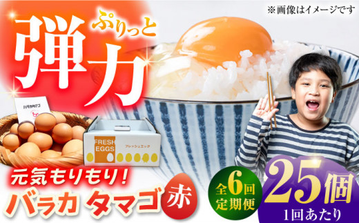 yS6ցzyzoJ^}S 25 M`LTCY  ʎq ܂ Y ܓs / ܓ񓇑Η{{ [PFQ058] ʎq ^}S {  ܓ񓇒茧ܓs36000Eii{AG