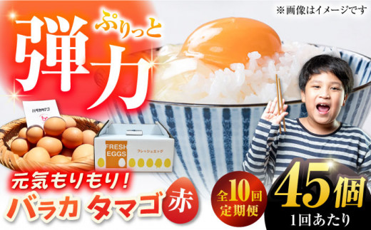 yS10ցzyzoJ^}S 45 M`LTCY  ʎq ܂ Y ܓs / ܓ񓇑Η{{ [PFQ062] ʎq ^}S {  ܓ񓇒茧ܓs84000Eii{AG