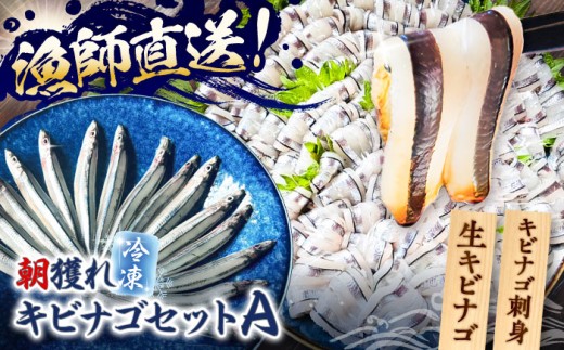 ytzтȂZbgAiLriŜhgLriSj ܓs/Sun Sea Go Company [PGL005]茧ܓs16000ECYN