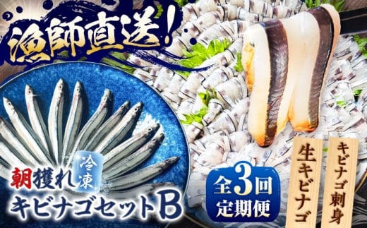 yS3ցzтȂZbgBiLriŜhgLriSj ܓs/Sun Sea Go Company [PGL010]茧ܓs60000ECYN