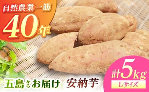 ΂񂿂̈[LTCY5kg ܓs/΂񂿔_ [PGW002]茧ܓs20000؁ÊႪEC