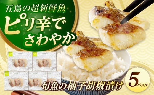 {̂䂸ӞЂ5 ͏{̋܂ ܓs/N[PEP049]茧ܓs20000ECY̑ ECY