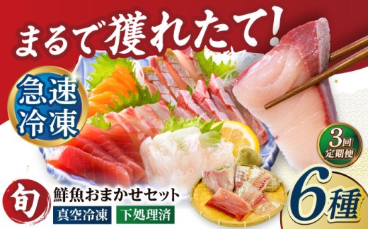 y3ցzyρzⓀN6i5+ĕp1j ܓs/N[PEP065] N N{bNX茧ܓs72000ECYN