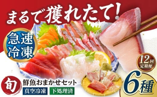 y12ցzyρzⓀN6i5+ĕp1j ܓs/N[PEP067] N N{bNX茧ܓs288000ECYN