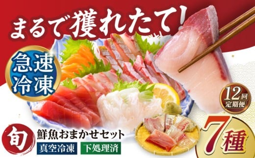 y12ցzyρzⓀN7i5+ĕp2jܓs/N[PEP071]茧ܓs336000ECYN