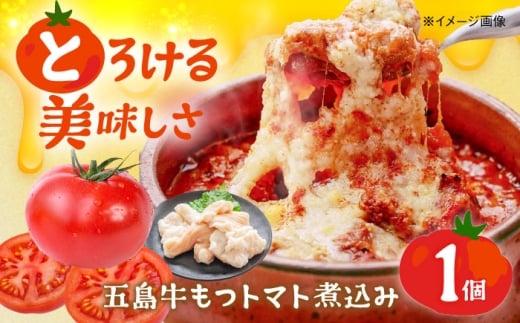 ܓc̃g}gύ 1 90g ܓs/ALBERO C^A ܓ c g}g y  [PGG001]茧ܓs6000