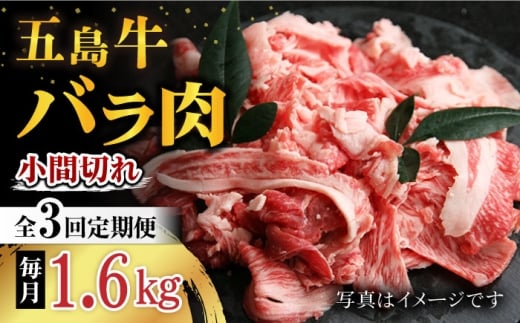 y3ցzܓ oԐ؂ 1.6kg ܓs/ Ƃ_Ƌg [PAF070]茧ܓs96000