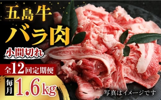 y12ցzܓ oԐ؂ 1.6kg ܓs/ Ƃ_Ƌg [PAF072]茧ܓs384000