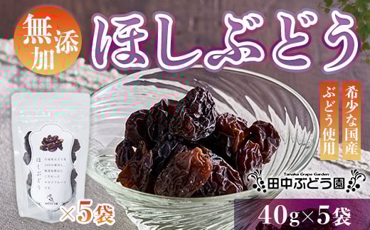 قԂǂ 40g×5 Y hCt[c Y i  A   Ԃǂ uhE Y ۑH ~H H H@ S Y i  A 