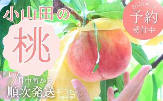 <2026年7月中旬頃から順次発送>小山田の桃(9〜12個)モモ 桃 もも ※発送前の注意事項を十分ご確認ください※|こだわりの逸品 地域特産品 ギフト 自分用 人気 おすすめ大阪府河内長野