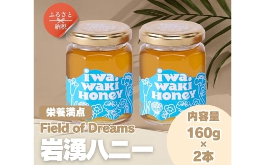 岩湧ハニー 純粋百花はちみつ 160g×2本セット 非加熱 無添加 国産天然はちみつ 大阪府 河内長野市 健康 美容 ギフト ダイエット 百花蜜 健康習慣 健康維持 ビタミン ミネラル 酵素 生活習慣