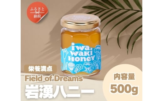 岩湧ハニー 純粋百花はちみつ 500g×1本セット 非加熱 無添加 国産天然はちみつ 大阪府 河内長野市 健康 美容 ギフト ダイエット 百花蜜 健康習慣 健康維持 ビタミン ミネラル 酵素 生活習慣