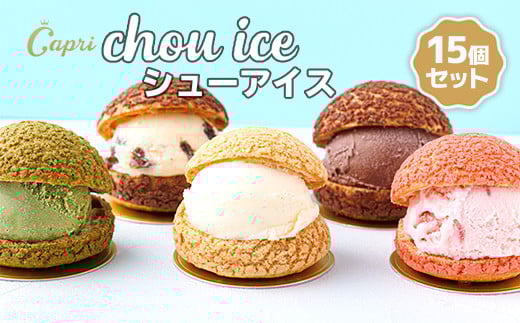 おうちでカフェ気分Capriの贅沢 シューアイスBOX バニラ チョコレート ストロベリー 抹茶 ラムレーズン 5種類 15個 シュークリーム 専門店 Capri 個包装 冷凍スイーツ 人気 洋菓子 スイーツ アイ