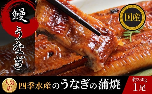 国産うなぎのかば焼き 1切(約250g) 人気鮮魚店「四季水産」特製 ウナギ 鰻 蒲焼 かば焼き 蒲焼き大阪府河内長野市13000魚介・海産物うなぎ