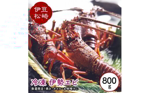 冷凍伊勢海老 800g静岡県松崎町23000魚介・海産物エビ