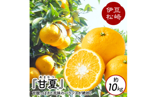 【数量限定】鈴切農園 甘夏 約10kg静岡県松崎町8000果物・フルーツみかん・柑橘類