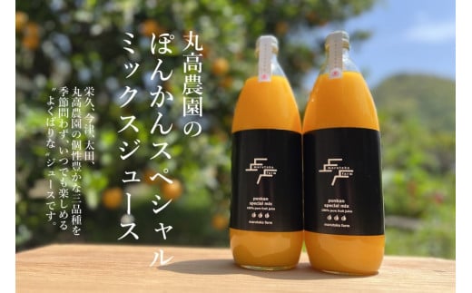 yʌzۍ_̂ۂ񂩂XyV~bNXW[XÉ蒬10000Eʏ`E؈