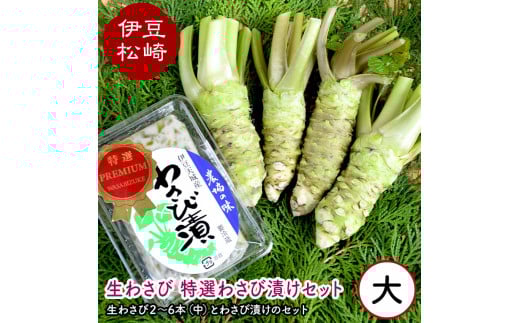 生わさび特選わさび漬けセットA静岡県松崎町15000野菜・きのこその他 野菜