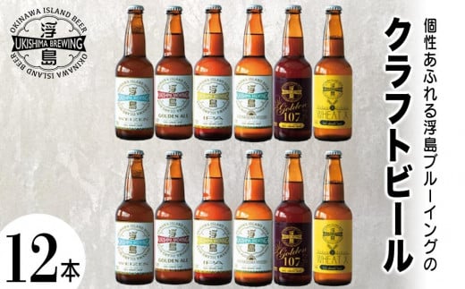 個性あふれる浮島ブルーイングのクラフトビール12本セット|クラフトビール ビール お酒 沖縄 那覇沖縄県那覇市30000酒・アルコールビール・発泡酒