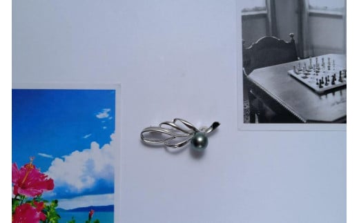 ip[u[`b ߔest@bV ANZT[ u[` AR ^ JWA p[WG[ꌧߔes127000ߗށEiEH|iANZT[