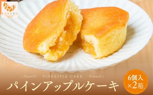 琉球パインアップルケーキ(6個入)2箱セット|沖縄 那覇市 菓子 焼菓子 ケーキ パイン アップル スイーツ デザート 人気 パインアップルケーキ沖縄県那覇市15000菓子・スイーツケーキ