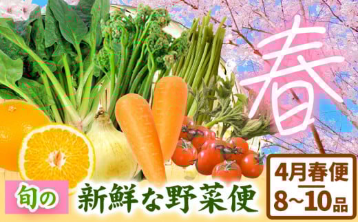 <先行予約>旬の新鮮な 野菜便 4月春便 8〜10品 アグリサポート美馬《2026年4月上旬-4月末頃出荷》春野菜 ふき わらび うど こしあぶら(山の山菜) 新玉ネギ ほうれん草 ミニトマト 人参 八朔