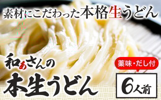 おうどんセット 6人前 《90日以内に出荷予定(土日祝除く)》和ぁさん家、株式会社栄工製作所 うどん 麺 生麺 生うどん 本格 手作り 和食 ご家庭用 こだわり お手軽 ギフト セット 薬味 だし