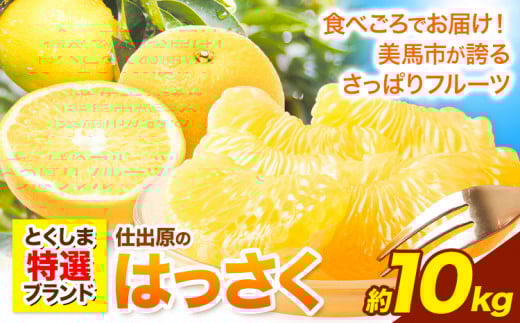 八朔 はっさく 10kg < 先行予約 > 《2026年2月上旬‐2026月3月上旬頃出荷》仕出原八朔生産組合 徳島県 美馬市 果物 くだもの フルーツ 特選 ゼリー ジュース ピール  八朔 10kg 八朔 大玉 八朔