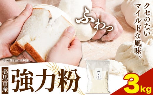 強力粉 3kg 美馬市産 《30日以内に発送予定(土日祝除く)》 実森ラボラトリー株式会社 自家製小麦のお店mimori  徳島県 美馬市 お菓子 パン 小麦徳島県美馬市13000鍋セット・総菜・加工食品その