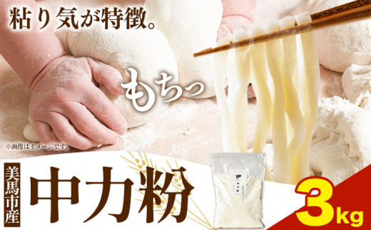 中力粉 3kg 美馬市産 《30日以内に発送予定(土日祝除く)》 実森ラボラトリー株式会社 自家製小麦のお店mimori  徳島県 美馬市 お菓子 パン 小麦 麺徳島県美馬市13000鍋セット・総菜・加工食品